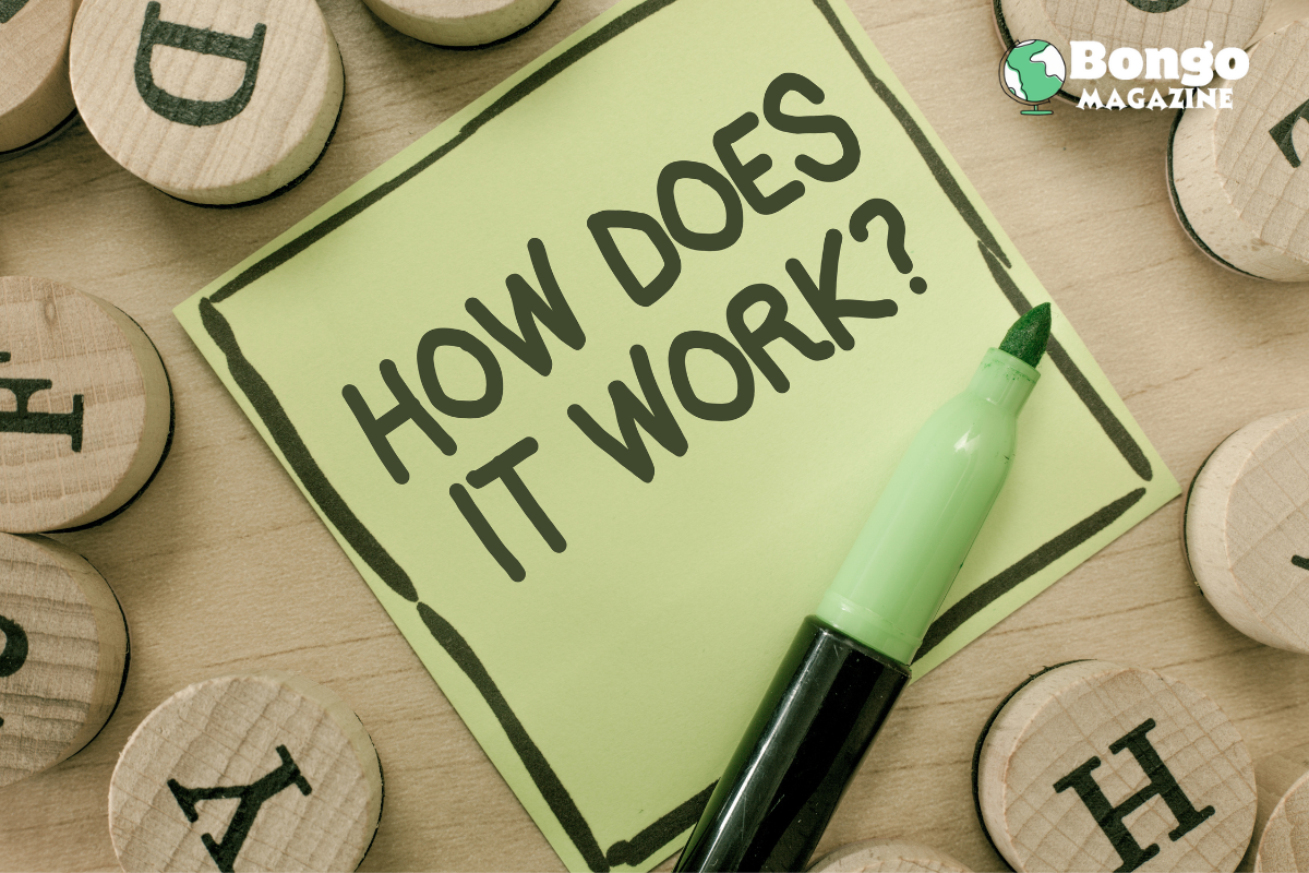 How to build credit from scratch