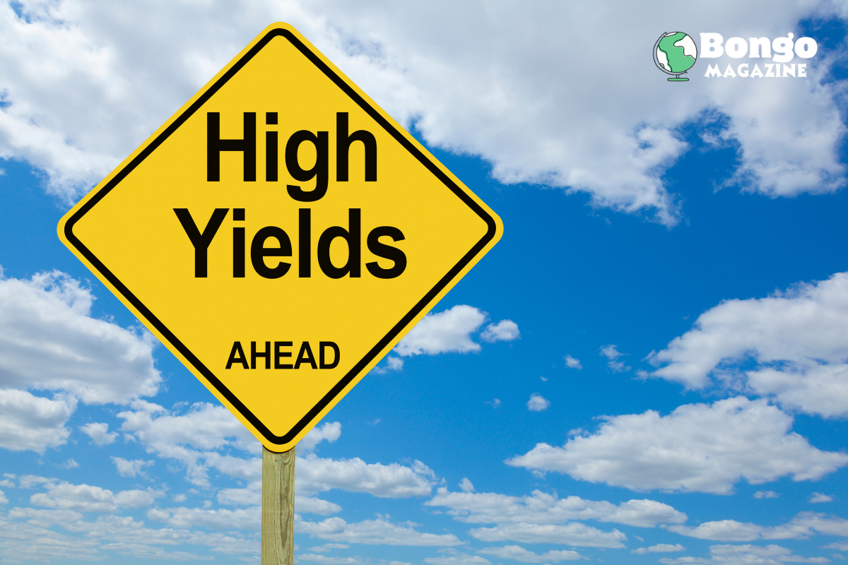 High-yield savings accounts with no fees