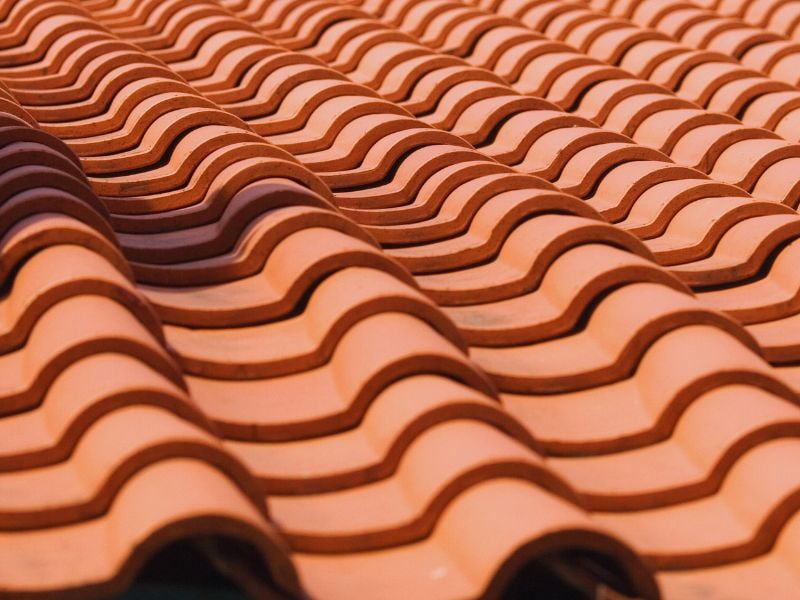 Roof Leaks Cause Mold