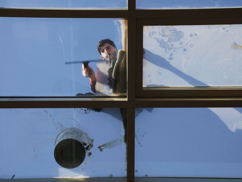 Types of Mold That Grow from Roof Leaks