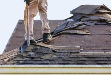 How to Remove Algae from Roof Shingles