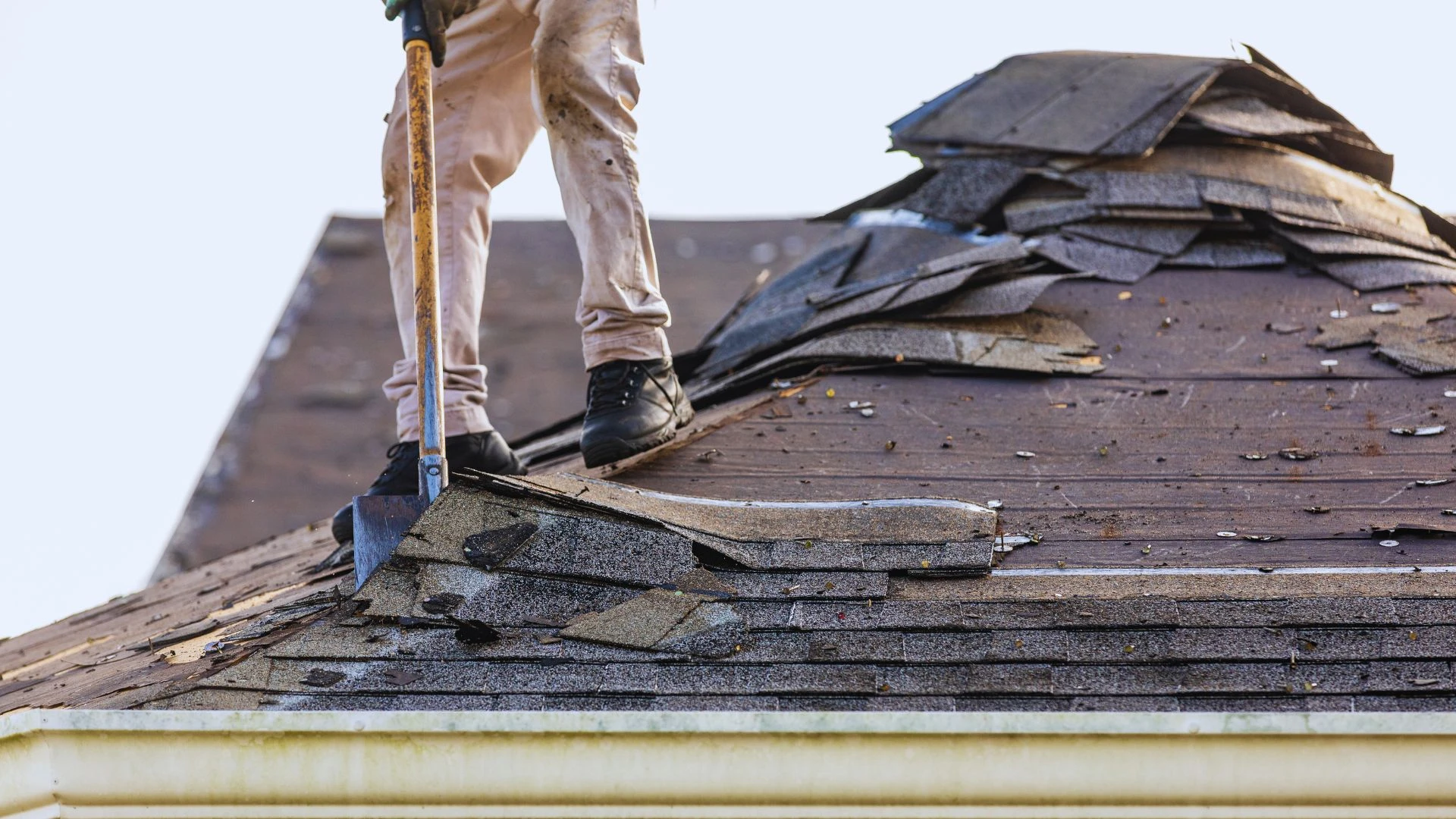 How to Remove Algae from Roof Shingles