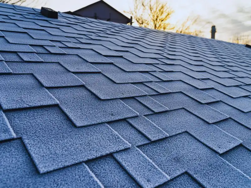 How to Paint Roof Shingles: Step-by-Step Guide